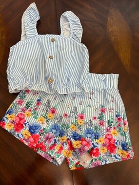 Blue Striped Floral Trim Girls' Shorts Set